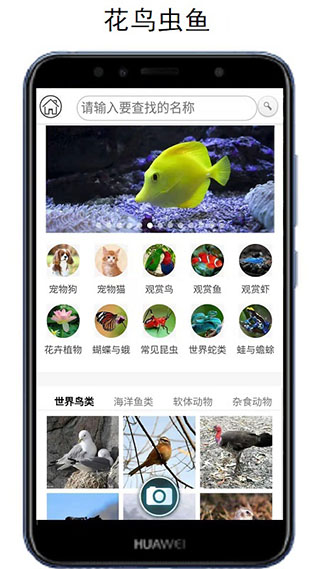 万物识别拍照app